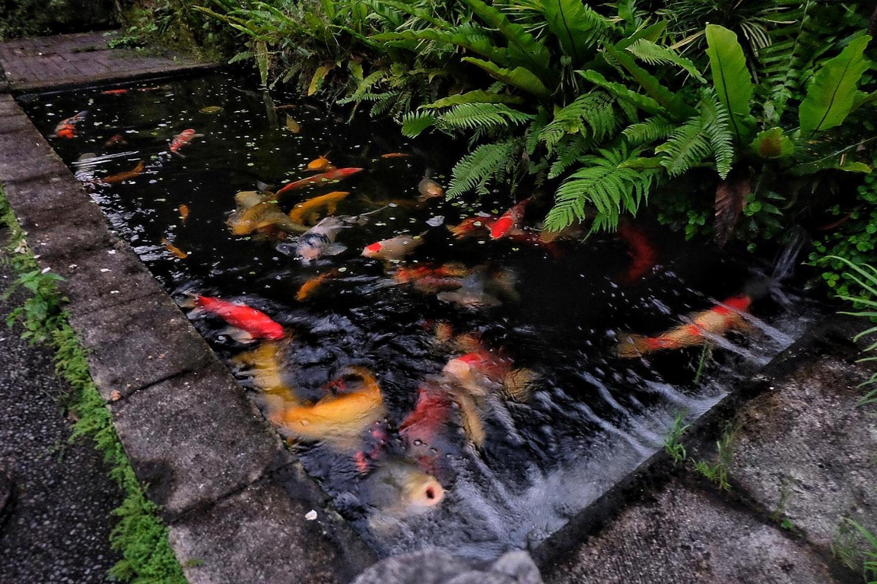 뜨갈랄랑 Gunung Kawi House 빌라 외부 사진